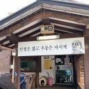 레드브릿지 이미지