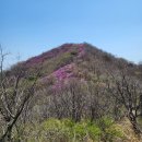 강화 혈구산 고려산 진달래 산행 이미지