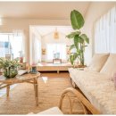 제주달로와 이미지