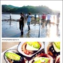 [포내마을]바다낚시 네이버블로그