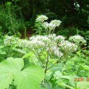 강교1리 이미지