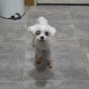 서곡공원 이미지