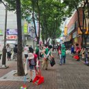 미관광장 이미지