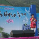 제3회 익산 송천장수 블루베리축제 초청공연 - 2011.7.1(금) 이미지