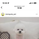 멍블리펫뷰티 이미지