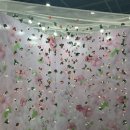 [일-상 꽃 생-활] 2024 양재플라워페스타 온라인 서포터즈로 참여하다 💐