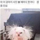 볼트