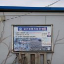 법인참베리