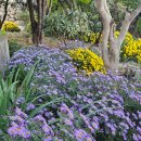 16일만에 카페 출석 신고합니다 이미지