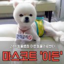 이든동물병원 이미지