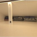 트랜드위드 이미지