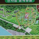 신안군 1004대교 개통 기념 섬여행 (2019.4.22) 이미지