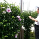 신성초교 이미지