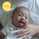 세연세무회계사무소 이미지