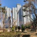 용호1동 체육공원 이미지