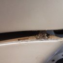 현대모비스 부품조회좀 부닥디립니다 이미지