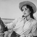 억만목장 이미지