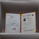 똥강아지 미용 이미지