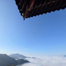 여기바다B