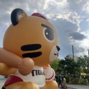 광주109 | [야구직관] 광주 기아챔피언스필드 1루 K8 109블록 직관후기