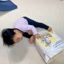 샘어린이집 | 모모래빗 에코컴포트핏 어린이집준비물 추천 샘없는 팬티기저귀 아기기저귀 후기