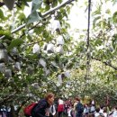 현태농장 이미지