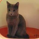 이마트 화장실 이미지