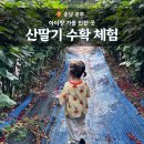 새터농장 이미지