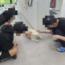 (주)디앤알 이미지