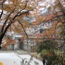 제8기 박물관대학 이미지