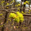 환상의섬 이미지