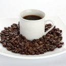 팜 휘트니스 이미지