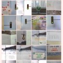 노인 그림책 긍정 심리 지도사 이미지