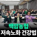 평화세차장 | 백암농협과 함께한 저속노화 건강법 강연후기와 건강 명강사 추천 백암순대 맛집