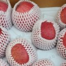 영주농장 이미지