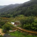 비학산자연휴양림 이미지