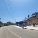 산정 대죽 Daum카페