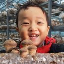 인도양펜션 이미지