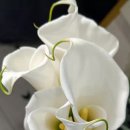 LED플라워 화분 제작 이미지