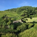 보청천 옥천-13 이미지