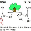 회춘농원 이미지