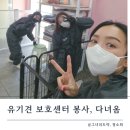 도로시지켜줄개 | 유기견 보호센터 봉사하는법 : 도로시지켜줄개 후기