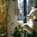 갈색다방 이미지