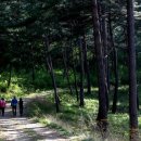 춘양면사무소 이미지