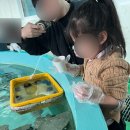 소라 유치원 | 강릉 아이와 할만한 것, 강릉해양과학교육캠프 힐링해캠프 예약방법 가격 실제후기