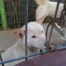 김석범농장 이미지