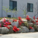 강릉충전소 이미지