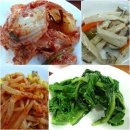 생태전문생태야생태 이미지