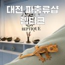 렙틸리스파충류샵 - 화성시 병점중앙로 156 | 대전 갈마동 파충류샵 렙티크, 크레스티드 게코 분양 후기