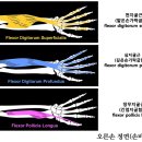 (주)더 그립